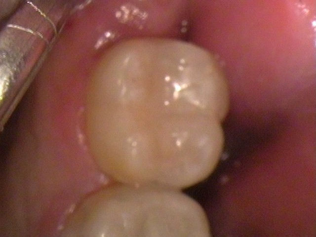 image-773488-X08880_1.jpg